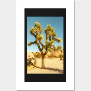 Joshua Tree Posters and Art